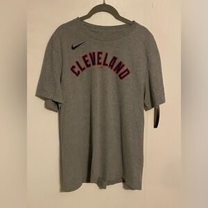 Cleveland Guardians Nike Fuse Lindor 12 - Gray, XL